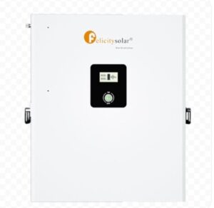 Felicity 48V 100Ah 5kWh Lithium Battery(LPBF48100-M)