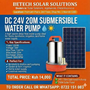 DC 24V Submersible Water Pump – 220W, 5 m³/hr Flow, 20M Head + 250W Solar Panel