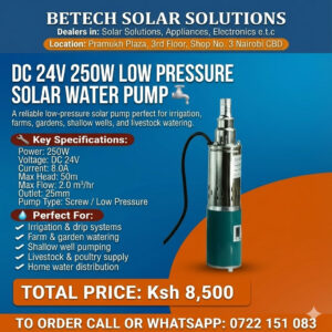 DC 24V 250W Low Pressure Solar Water Pump – 2.0 m³/hr, 50M Head, Screw Pump for Irrigation & Wells